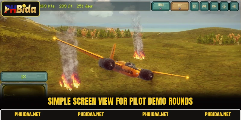 Simple screen view for Pilot demo rounds